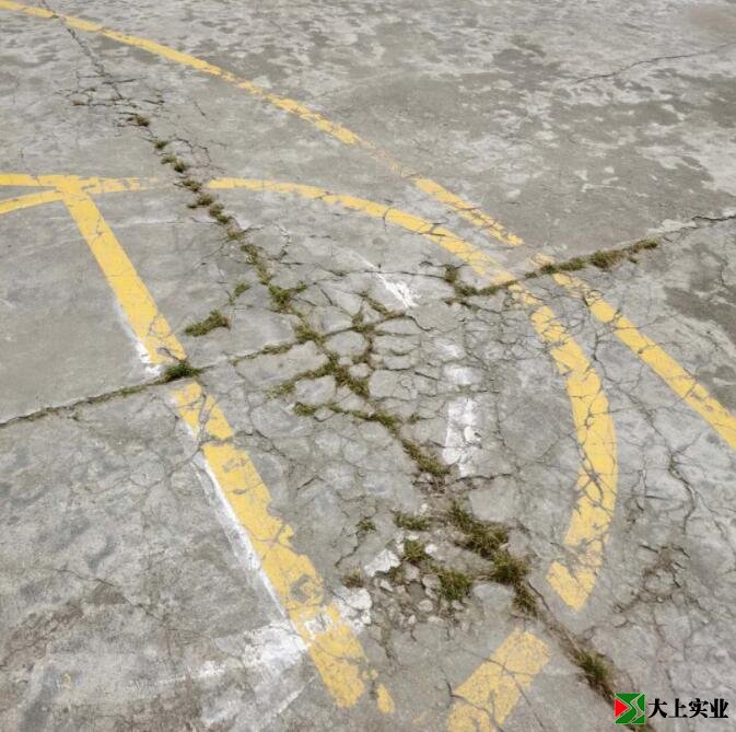 籃球場地面已開裂，并長出雜草。